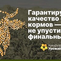 Все начинается с лучших семян Все начинается с лучших семян