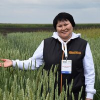 От спутников до севооборота От спутников до севооборота