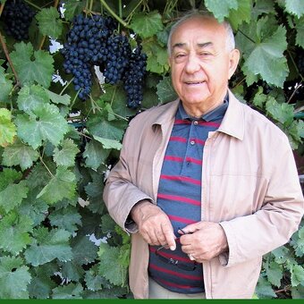 Поклониться виноградной лозе