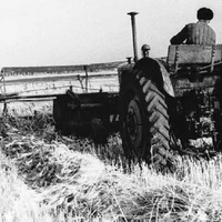 У истоков сортоиспытания: 95 лет Карабалыкскому ГСУ У истоков сортоиспытания: 95 лет Карабалыкскому ГСУ