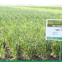Прародитель аграрной науки Казахстана Прародитель аграрной науки Казахстана