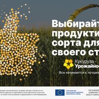 Выбирайте продуктивные сорта для своего стада Выбирайте продуктивные сорта для своего стада